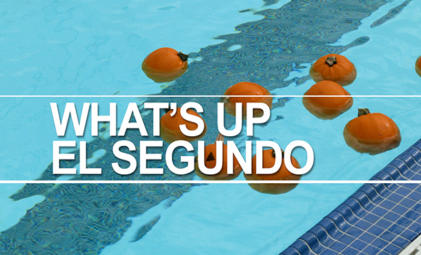 What's up El Segundo pumpkins in a pool